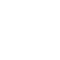icon-data