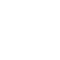 icon-foreign filing