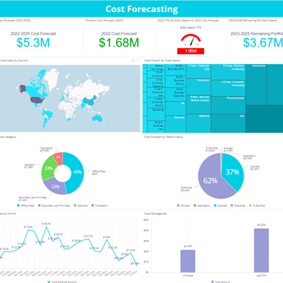 Portfolio Cost Forecasting